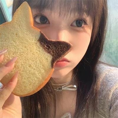 动画冒险